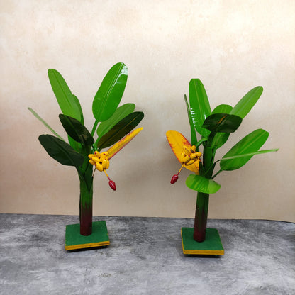 Plantain Tree, Banana Tree - Pair - BT01-C