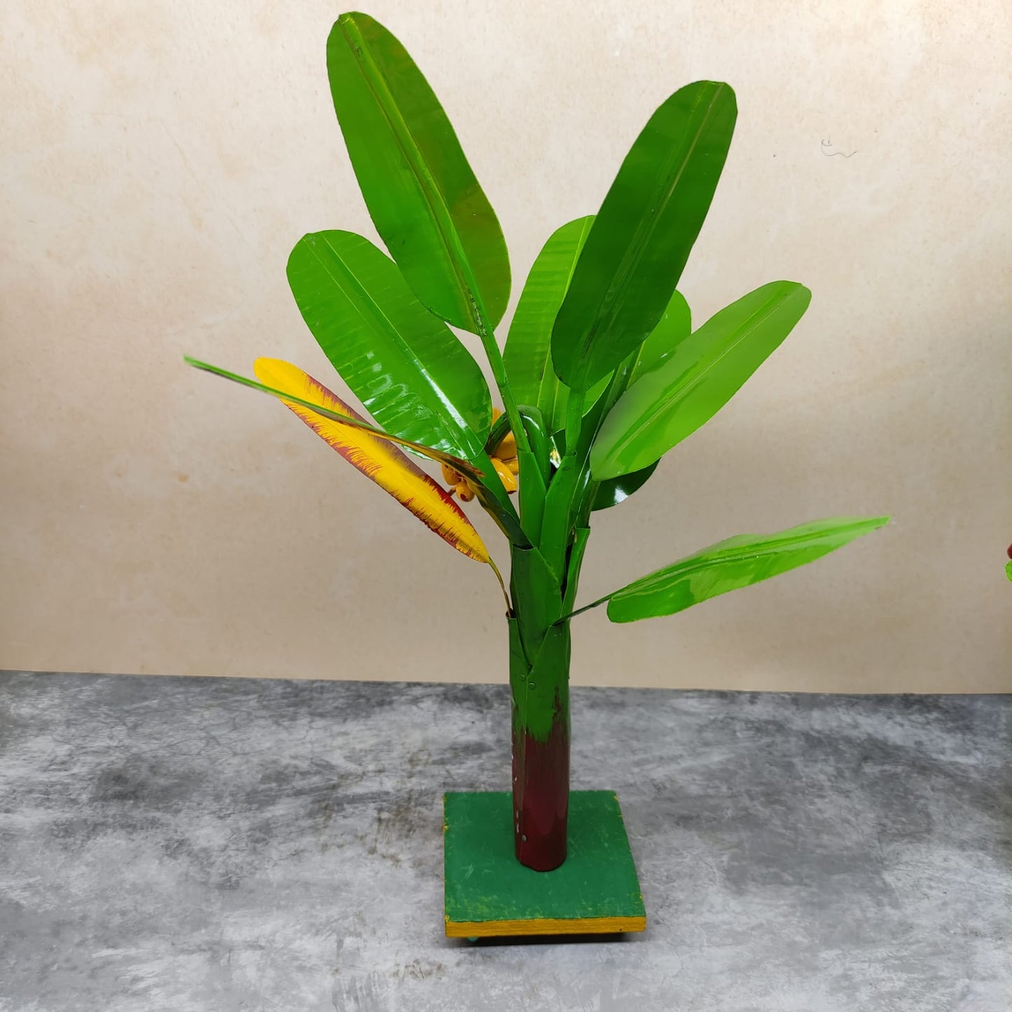Plantain Tree, Banana Tree - Pair - BT01-C