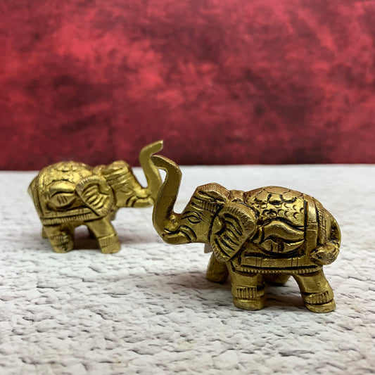 Elephant Pair - RBE1