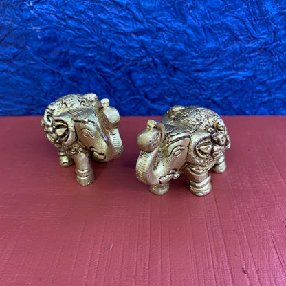 Elephant Pair - RB5