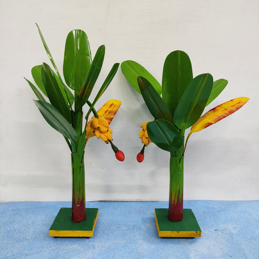 Plantain Tree, Banana Tree - Pair - BT02