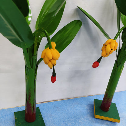 Plantain Tree, Banana Tree - Pair - BT03